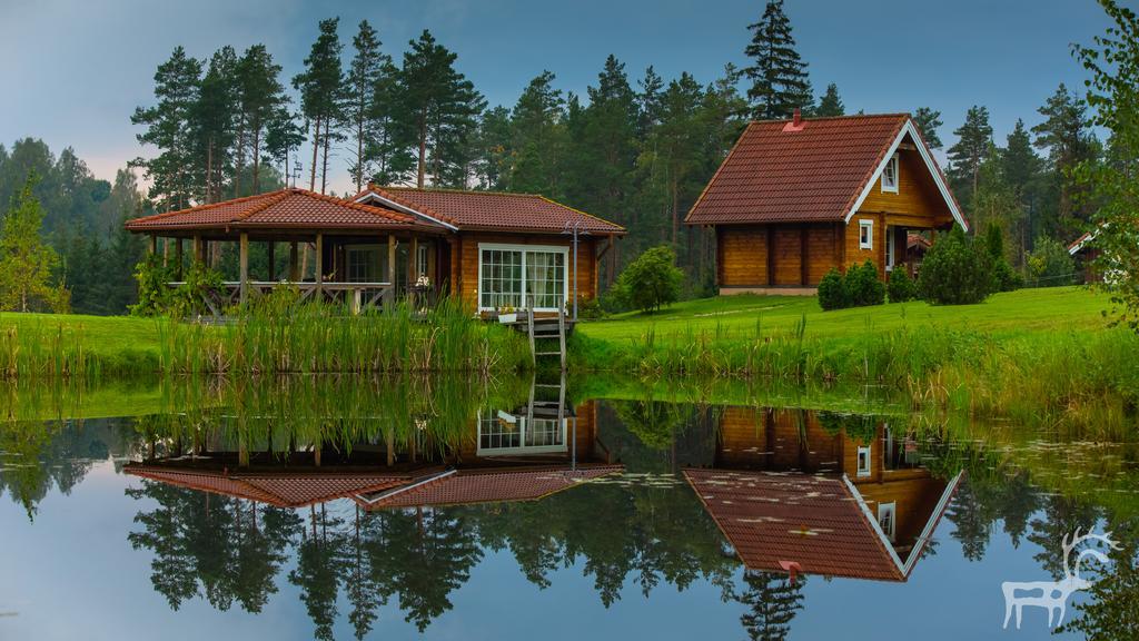 Viesu Majas Briedisi Villa Raiskums Phòng bức ảnh
